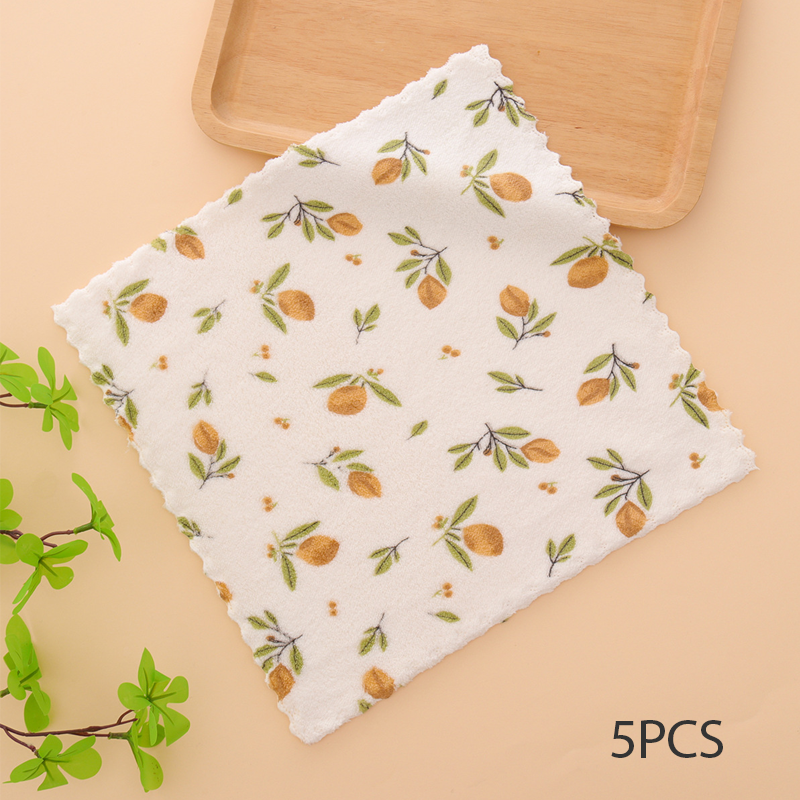 🔥Hot Seller🔥5PCS Coral Flannel Dish Towels for Home Use