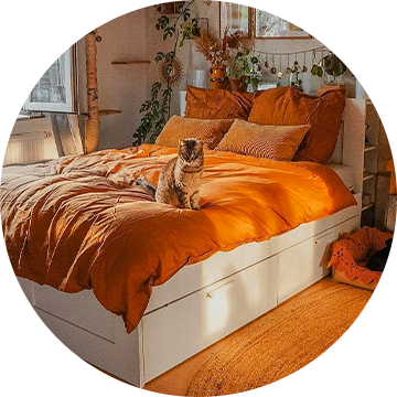 Housewares & Kitchen