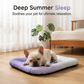 🎁Last Day Promotion 60% OFF🔥Pet Cooling Mat for Dogs & Cats 🐾  Naturally Cool Ice-Silk Pad • Breathable, Washable & Soft 🌿  For Floors, Sofas & Car Travel • Multiple Sizes • Gradient Colours ☀️🐶🐱