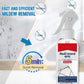 Multi-purpose mold removal spray