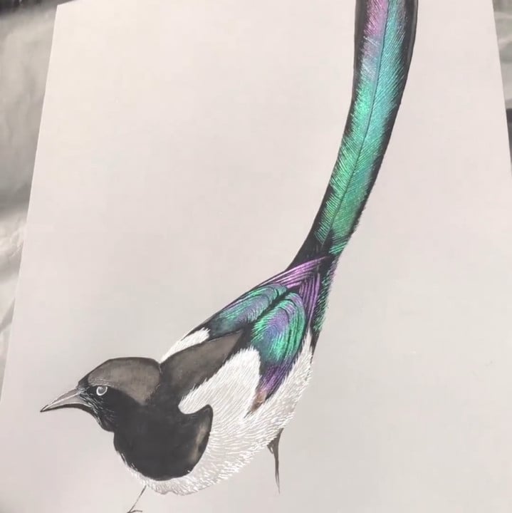 💥Black Friday Day 50% OFF🎅20 Colours Watercolor Painting Set🎨