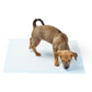 🐶🧼 Absorbent Leak-Proof Dog Potty Pads(20 Pcs)-Make Potty Training A Breeze For Your Pup✨