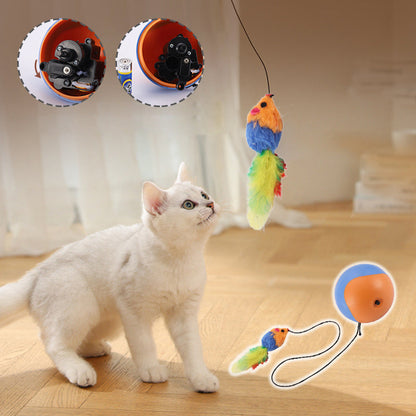 Self-Rolling Cat Entertainment Toy