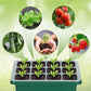 ⏰Limited offer 50% Discount🔥Seed Starter Trays with Grow Light