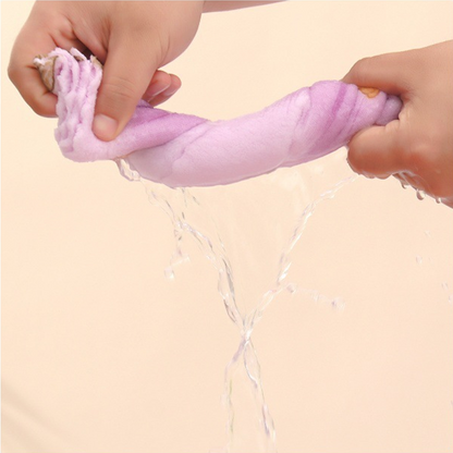 🔥Hot Seller🔥5PCS Coral Flannel Dish Towels for Home Use