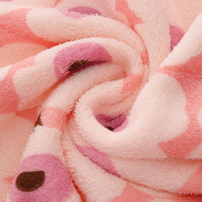 🔥Hot Seller🔥5PCS Coral Flannel Dish Towels for Home Use