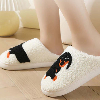 Women's Cute & Warm House Slippers