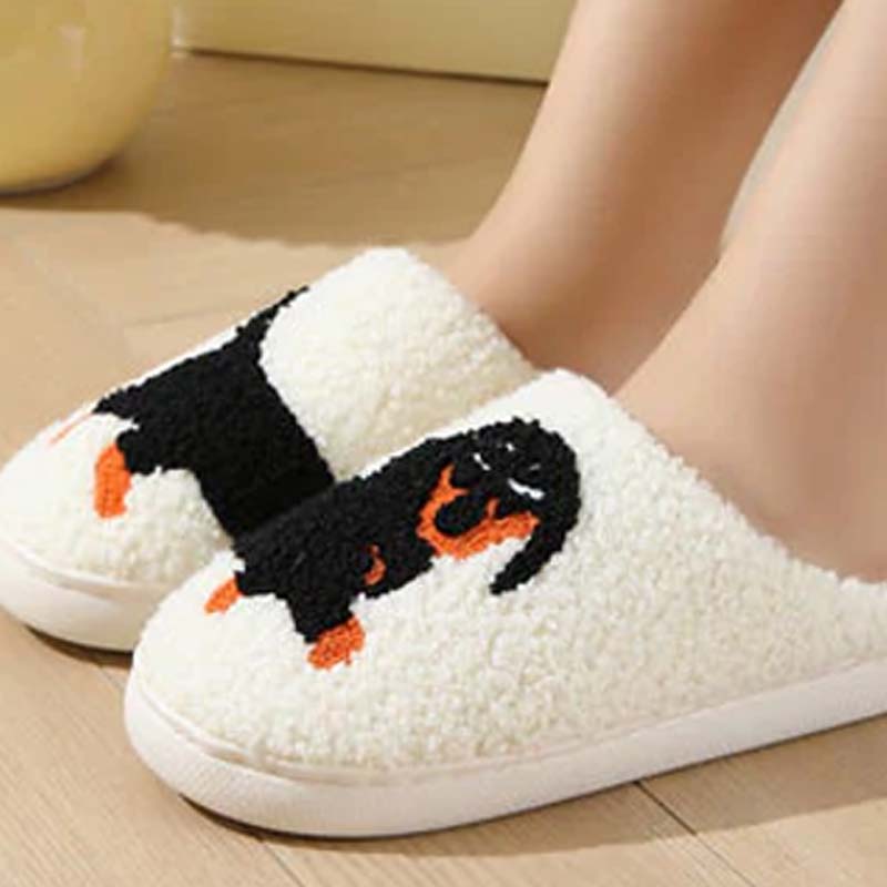 Women's Cute & Warm House Slippers