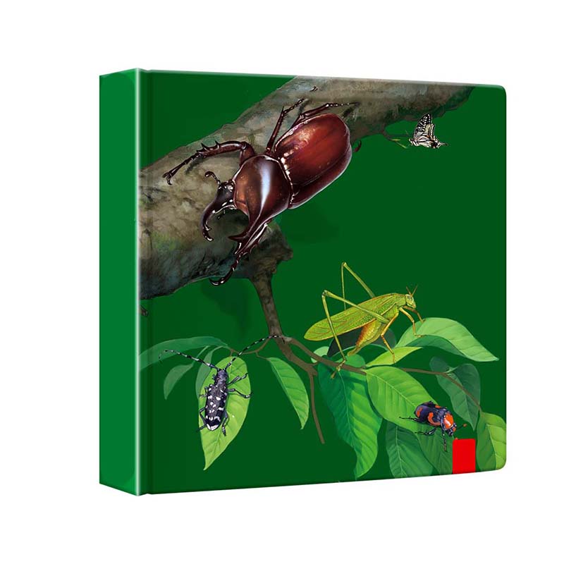 Interactive 3D Educational Adventure Book for Kids