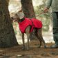 🔥Christmas Limited-Time Offer: 50% OFF!!!🔥Outdoor Reflective Dog Jacket