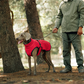🔥Christmas Limited-Time Offer: 50% OFF!!!🔥Outdoor Reflective Dog Jacket