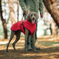 🔥Christmas Limited-Time Offer: 50% OFF!!!🔥Outdoor Reflective Dog Jacket