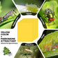 🐞 Super-Sticky Double-Sided Insect Traps  – Keep Your Garden Pest-Free, Rain Or Shine🌿