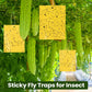🐞 Super-Sticky Double-Sided Insect Traps  – Keep Your Garden Pest-Free, Rain Or Shine🌿