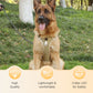 📢📢50% OFF !! 🐶 No Pull Dog Harness With Leash & Collar LED - Walks Just Got Easier ✨