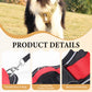 📢📢50% OFF !! 🐶 No Pull Dog Harness With Leash & Collar LED - Walks Just Got Easier ✨