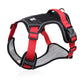 📢📢50% OFF !! 🐶 No Pull Dog Harness With Leash & Collar LED - Walks Just Got Easier ✨